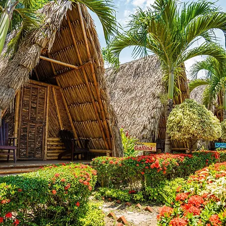 Tiki Hut Hostel-3